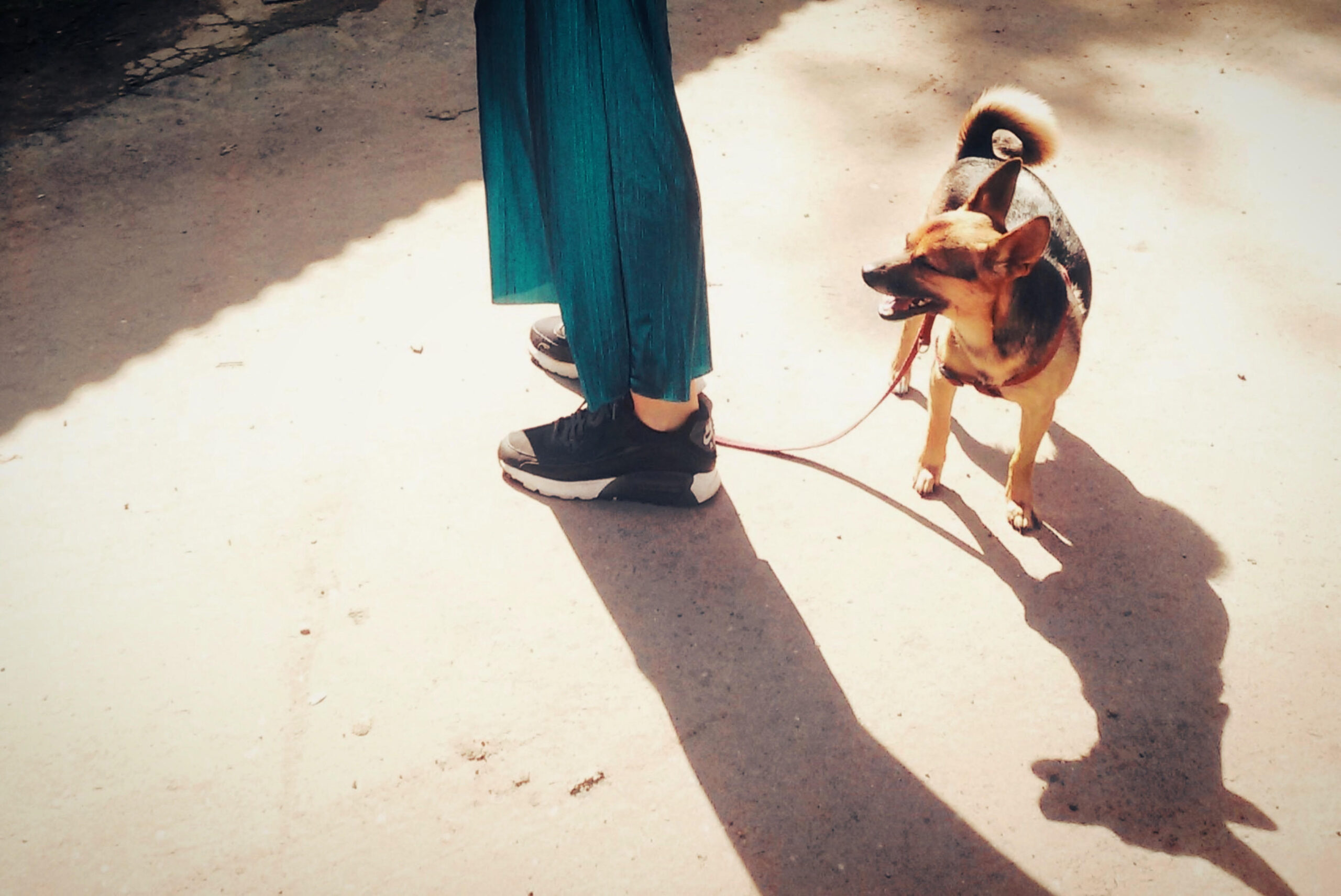 Stary Mokotów. Słońce.